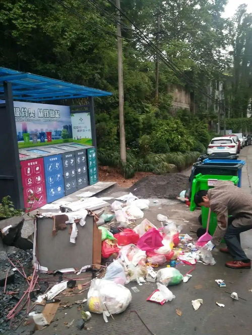 桐廬城區生活小區垃圾分類現狀與城市生活垃圾經營服務探析