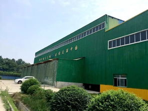 告別“一鍋燴” 渭南以“工業(yè)胃”分揀消化，探索生活垃圾資源化新路徑